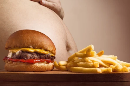 Obesity Increases 2020