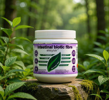 Imsyser Intestinal Biotic fibre 200g